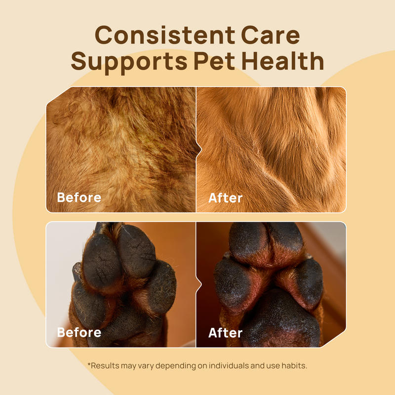 HICC PET Paw Care Kit