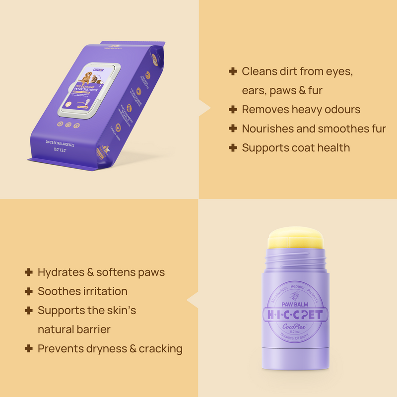 HICC PET Paw Care Kit