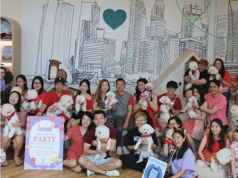 470 m2 Pet Friendly Space