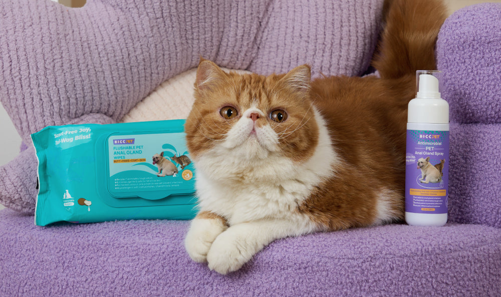All-in-One Pet Care Kits